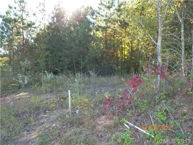0 Harper Hearne Road - Photo 1
