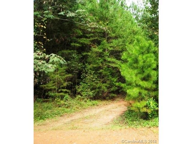 0000 Caroline Acres Road - Photo 1