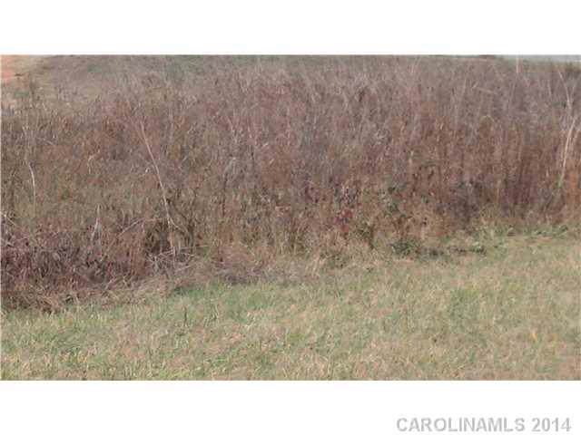 2417 Dale Earnhardt Boulevard - Photo 1