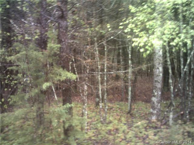 0 Big Cedar Drive - Photo 1