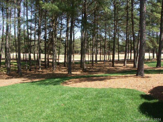 171 Yadkin Falls - Photo 1