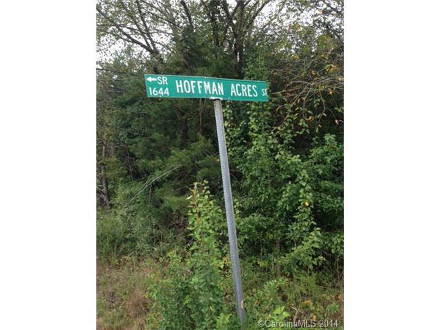 00 Hoffman Acres Street - Photo 1