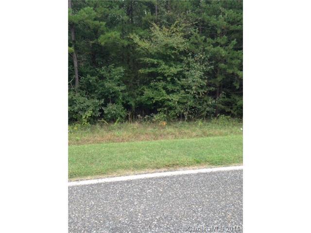 00 Brady Hoffman Road - Photo 1
