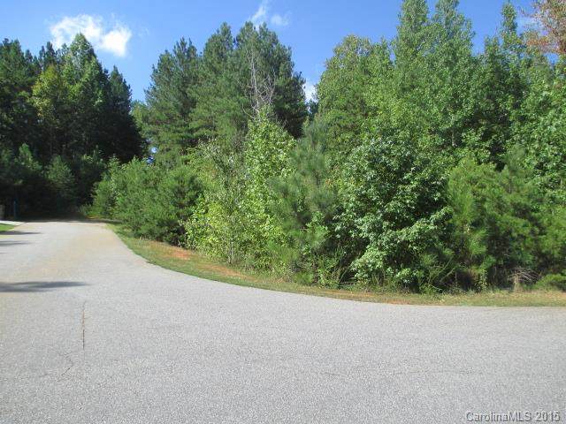 130 Big Bertha Drive - Photo 1