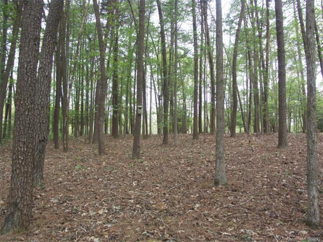 134 Yadkin Falls - Photo 1