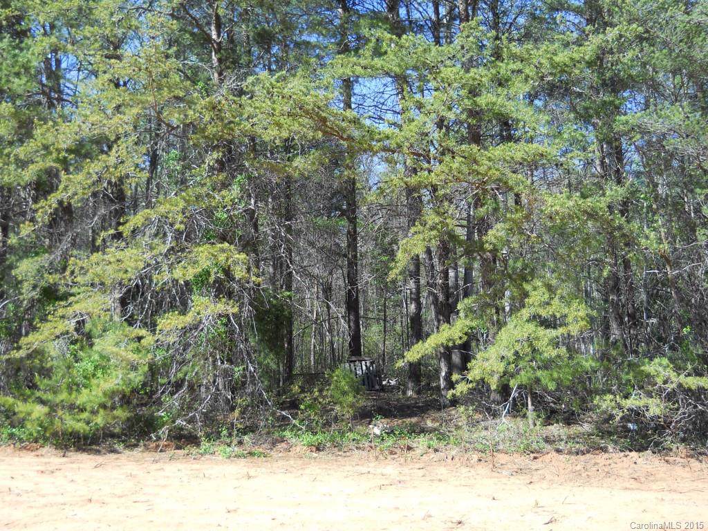 1011 Timber Spring Lane - Photo 1