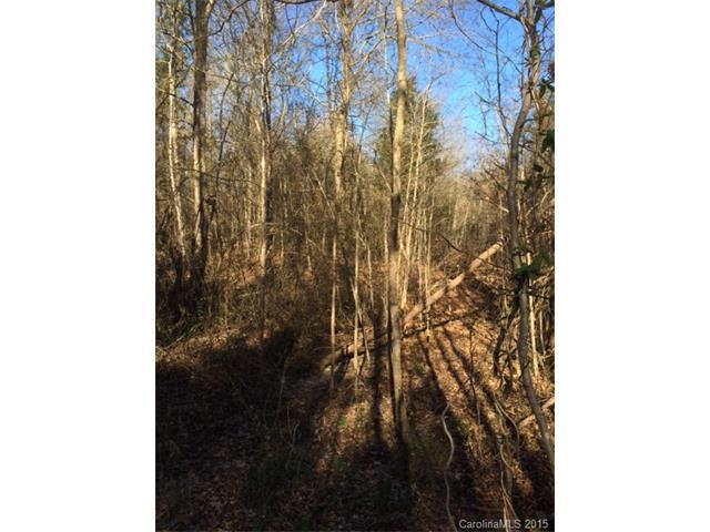 12.57 acres Ellison Road - Photo 1