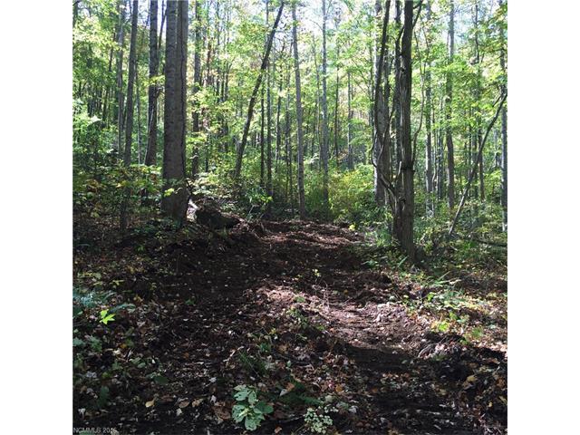 TBD (53.36 acres) Pegg Road - Photo 1