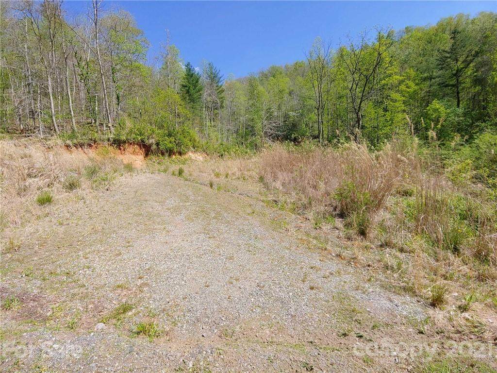 Vacant Land Arvil Gosnell Road - Photo 1