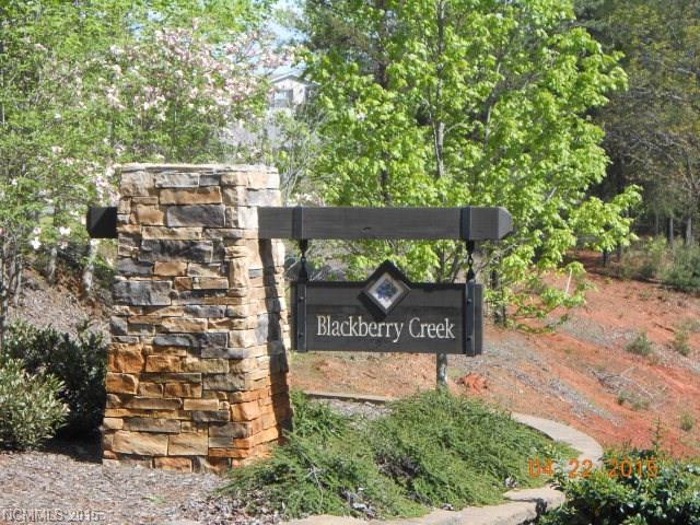 Lot 73 Blackberry Creek - Photo 1