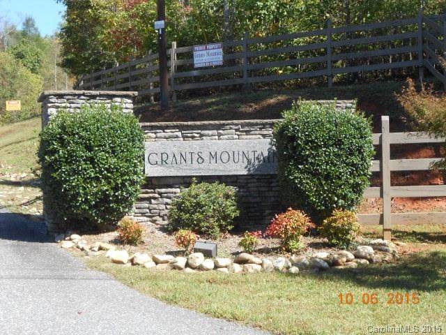 Lot 80 Grants Mountain - Photo 1