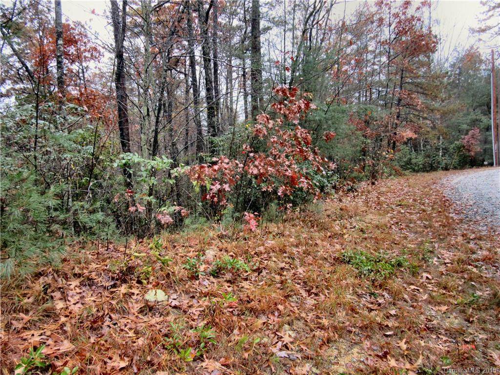 lot 10 Oak Laurel Road - Photo 1