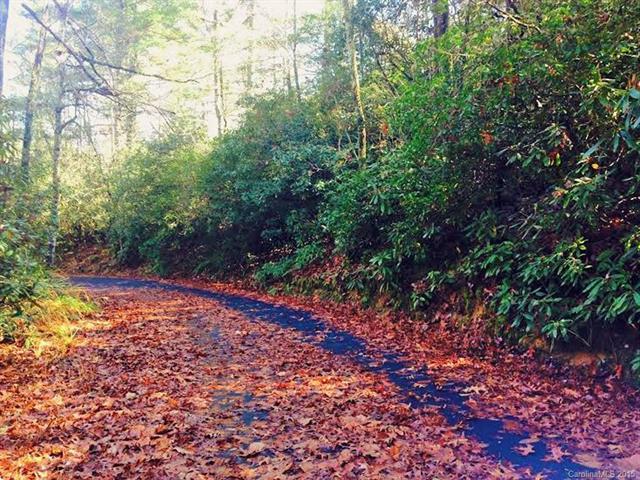 00 Dogwood Mountain Road - Photo 1