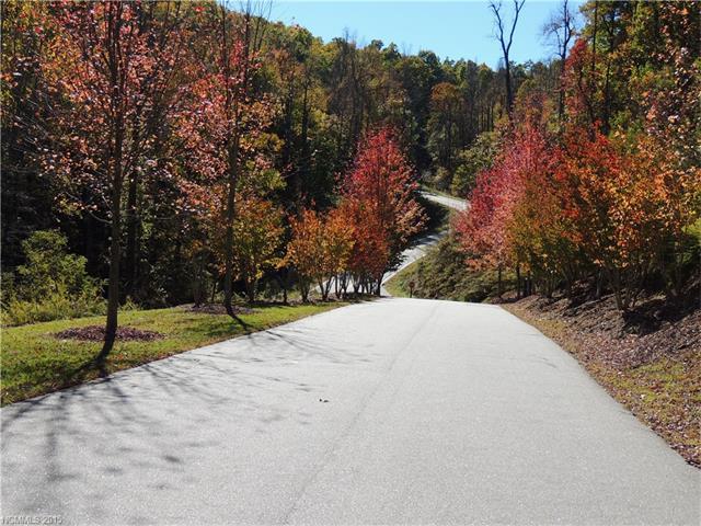 Lt 72 Mountain Falls Trail - Photo 1