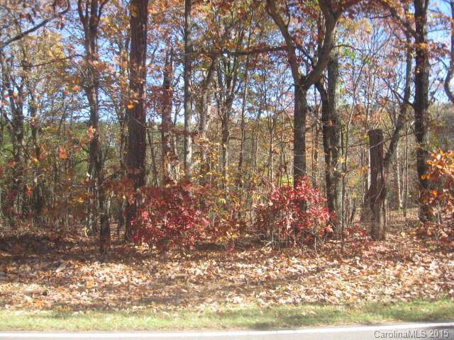 00 Tryon Courthouse Road - Photo 1
