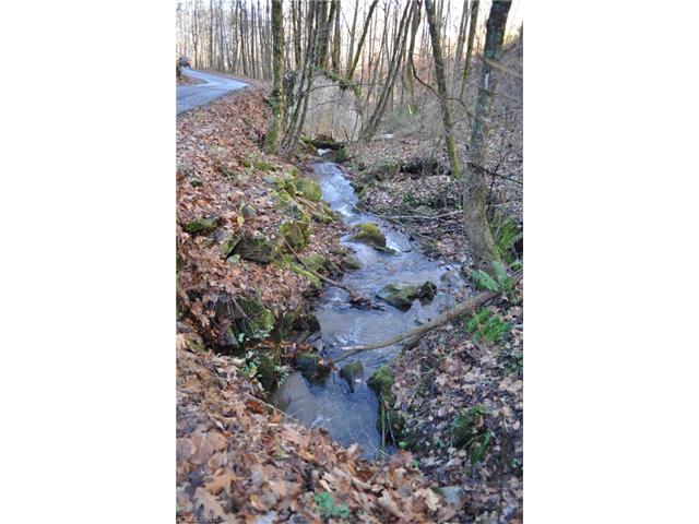 00 Parris Branch Road - Photo 1