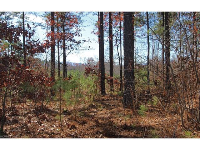 22 Loblolly Lane - Photo 1