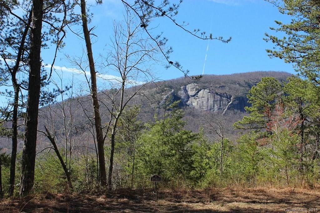 Lot 39 Palmer Drive - Photo 1