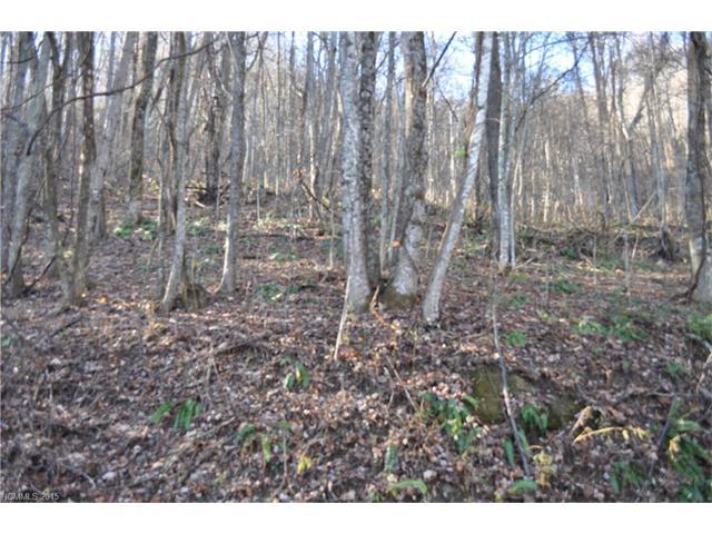 00 Mountainside Drive - Photo 1