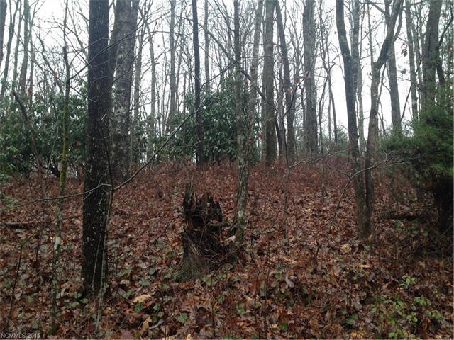 008 Purple Finch Trail - Photo 1