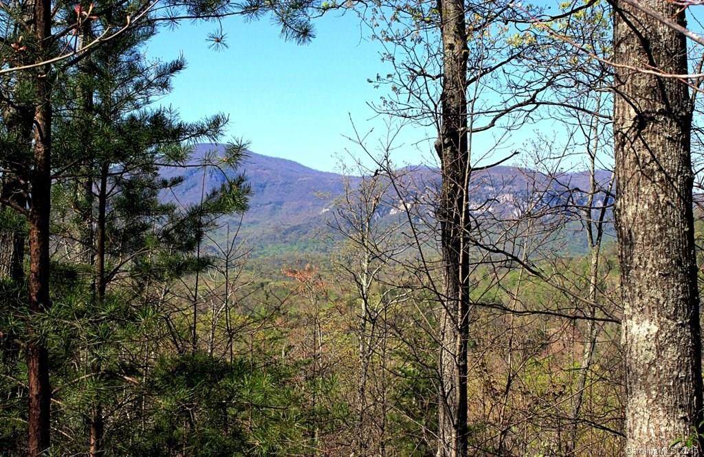26 Hawks Nest Trail - Photo 1