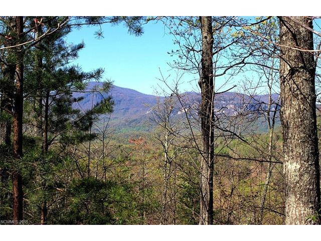 26 Hawks Nest Trail - Photo 1