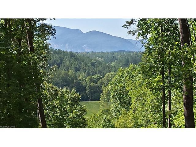 LOT 3 Cross Creek Trail - Photo 1
