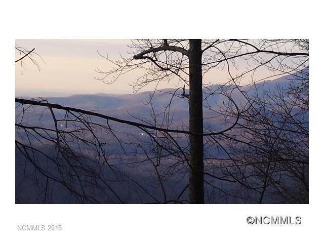 LOT 60 White Oak Mountain Road - Photo 1