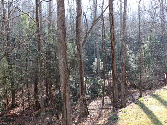 LOT 79 Catawba Falls Trail - Photo 1