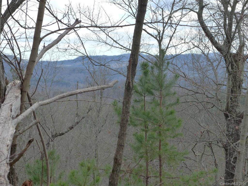 14 Spring House Trail - Photo 1