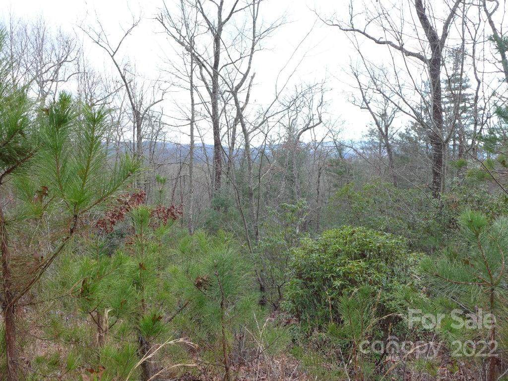 14 Spring House Trail - Photo 1