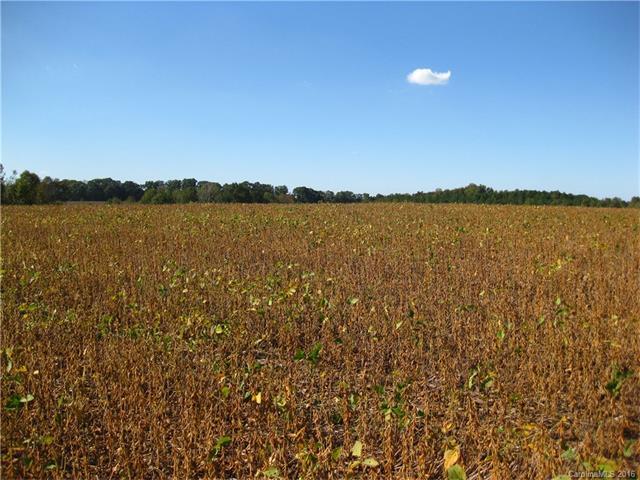 Vacant Huneycutt Mill Road - Photo 1
