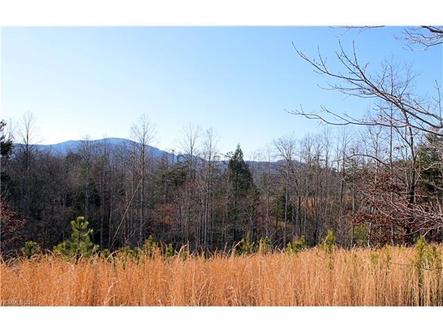 07 Woods Laurel Lane - Photo 1