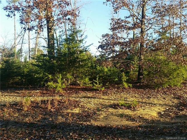 1018 Riverwood Drive, Salisbury, NC 28146 (#3139993) :: Rinehart Realty