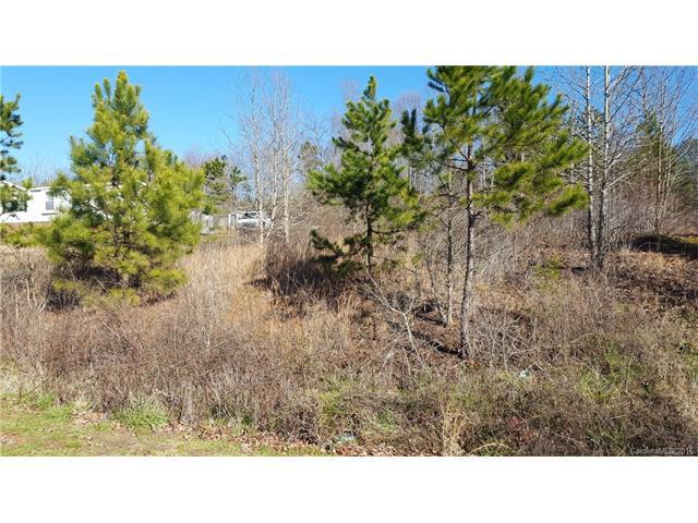 4528 Red Apple Drive - Photo 1