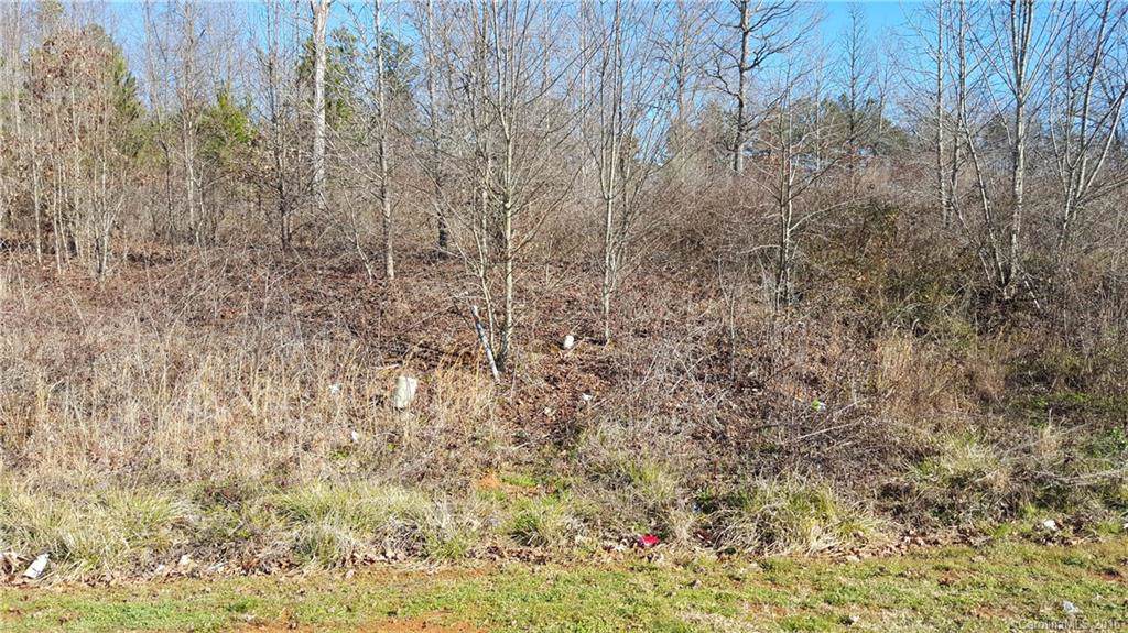 4532 Red Apple Drive - Photo 1