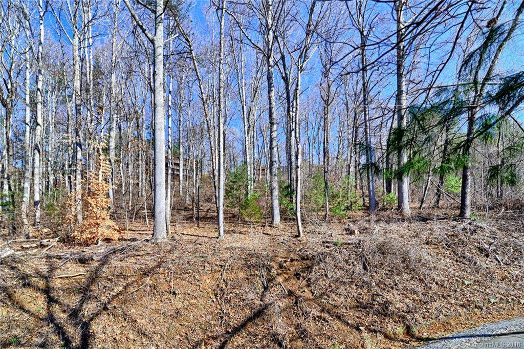 110 Buffalo Trail - Photo 1