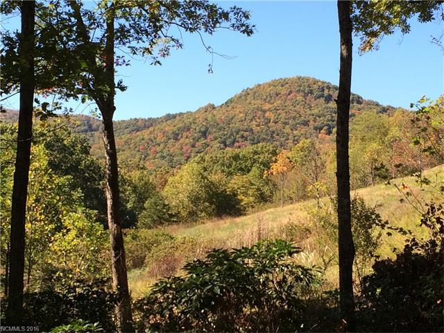 16 Smokey Ridge Trail - Photo 1