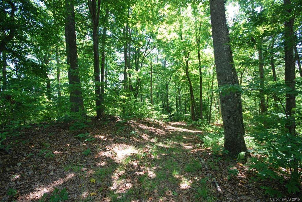 29 Open Ridge Trail - Photo 1