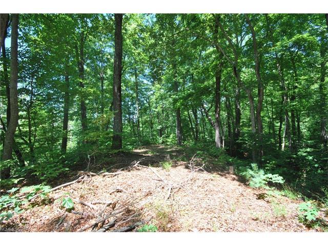 30 Open Ridge Trail - Photo 1