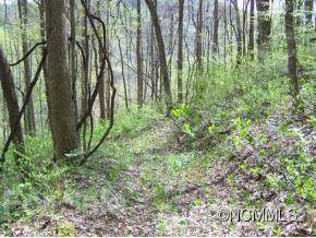 Lot 73 Running Deer Lane - Photo 1