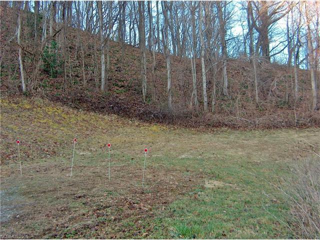 Lot #4 Hunters Ridge Road - Photo 1