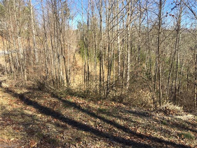 L30 Walnut Cove Road - Photo 1