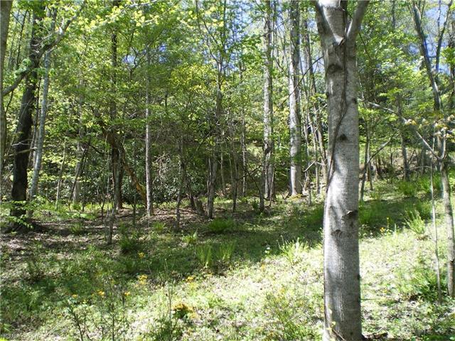 Lot 7 Pisgah Forest Drive - Photo 1