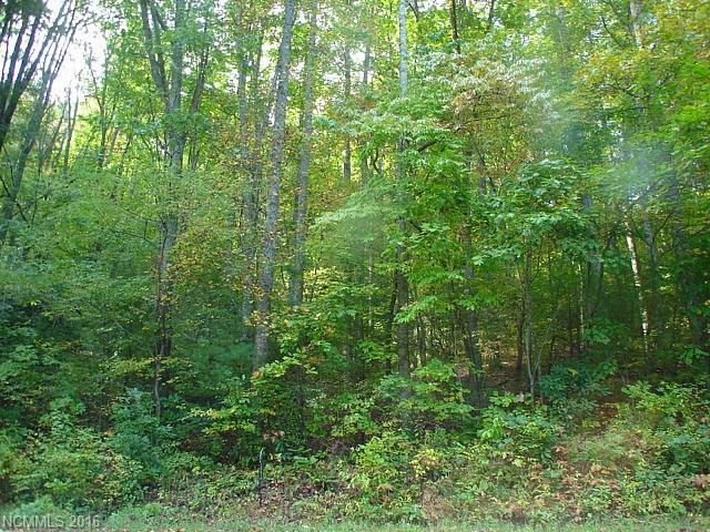000 Davis Mountain Road - Photo 1