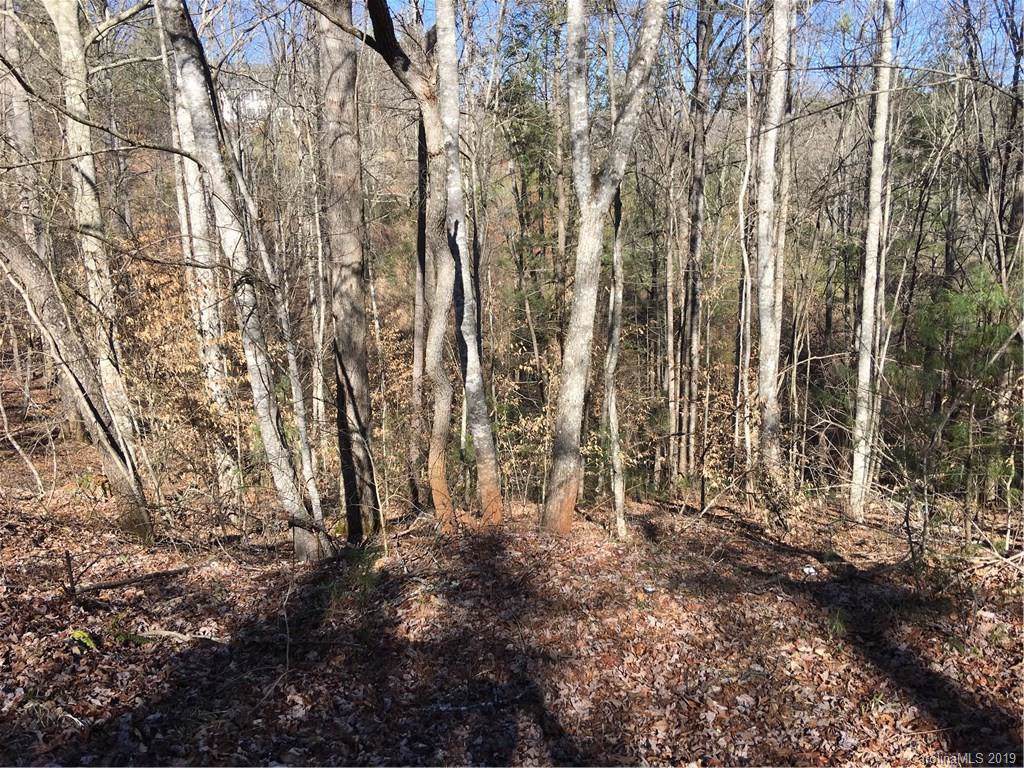 Lot 29 Tar Heel Drive - Photo 1