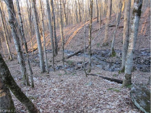 Lot 31 Sara Ridge Road - Photo 1