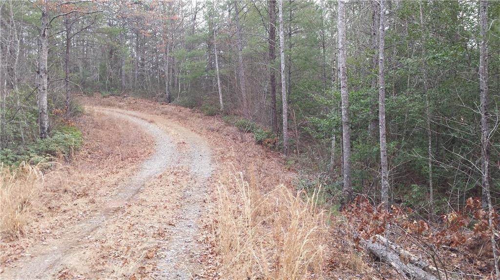 Lot 8 Woods Road - Photo 1