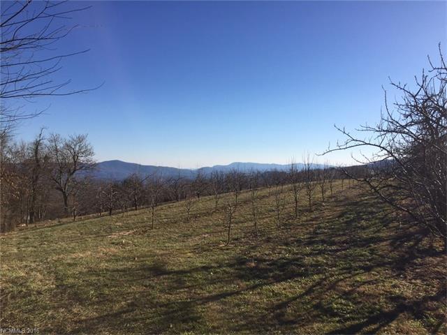TBD Spicer Cove Road - Photo 1