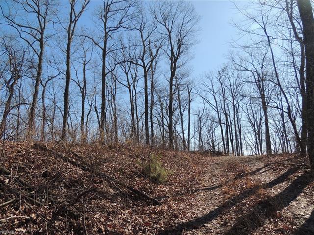 Lot 40 Mountain Crest Drive - Photo 1